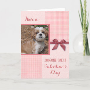 Valentine's Day - dog custom photo card