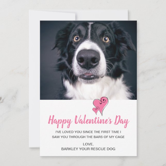 Valentines Day Dog Holiday Card (Front)