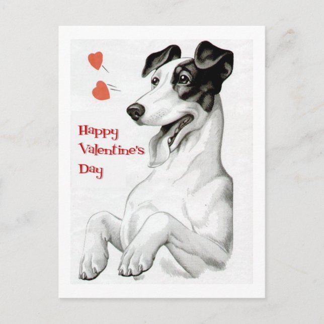Valentines Day Dog Holiday Postcard (Front)