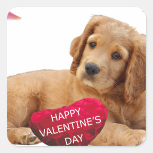 Valentine's Day Dog Photo Square Sticker
