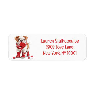 Valentines Day English Bulldog