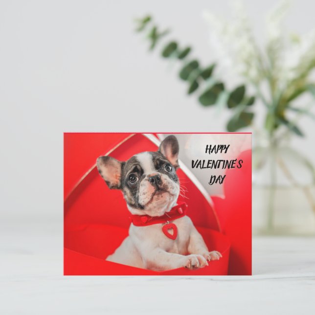 Valentine's Day French Bulldog Holiday Postcard (Standing Front)