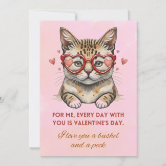 Valentines Day Funny cat Photo  Holiday Card
