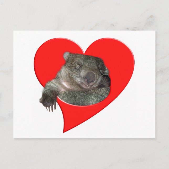 Valentine's Day Gifts, Wombat Love! Holiday Postcard (Front)
