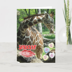 Valentine's Day Giraffe Holiday Card