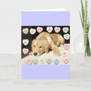 Valentine's Day Golden Retriever Holiday Card