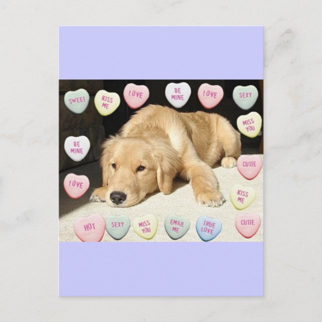 Valentine's Day Golden Retriever Holiday Postcard (Front)