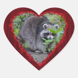 Valentine's Day Greeting - Shy Racoon Heart Sticker