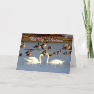 Valentine's Day Greetings Holiday Card