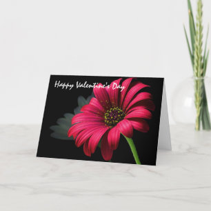 Valentine's Day Greetings Holiday Card