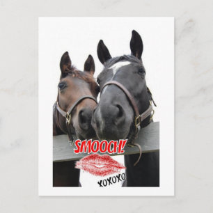 Valentine's Day Horses Holiday Postcard