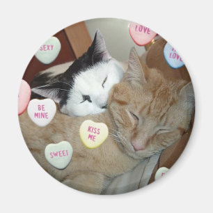Valentine's Day Kittens Magnet