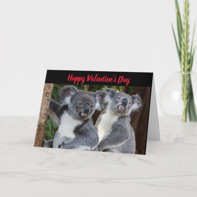 Valentine's Day Koala Bears Holiday Card (Front)