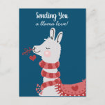 Valentine's Day Llama Love Postcard<br><div class="desc">Sending someone a llama love just became easier with this cute illustrated valentine's day postcard. Fun llama in cute scarf and heart blanket. Llama is holding a pink coloured branch with hanging heart. Sweet holiday llama illustration by Valarie Wade.</div>