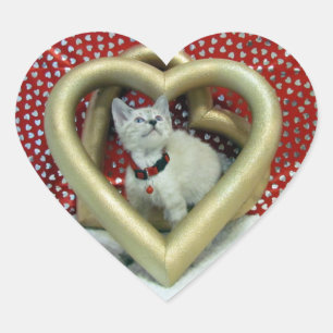 Valentine's Day - Love Phoenix - Cat / Kitten Heart Sticker