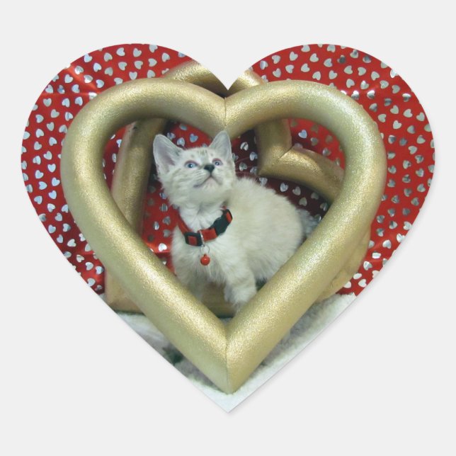 Valentine's Day - Love Phoenix - Cat / Kitten Heart Sticker (Front)