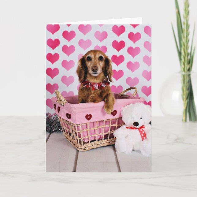 Valentine's Day - Mollie - Dachshund Holiday Card (Front)