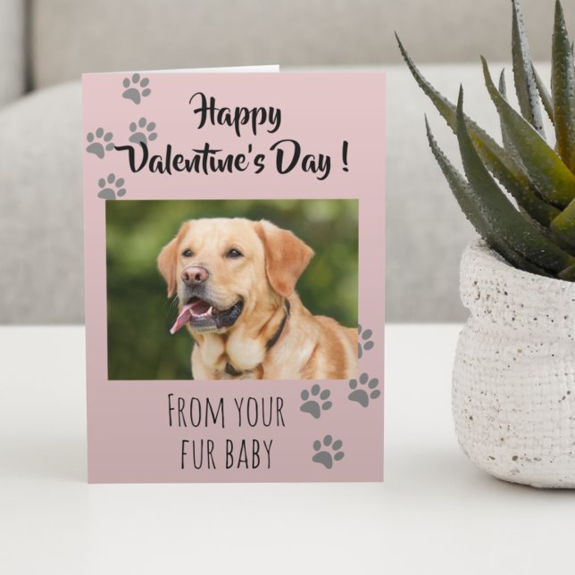 Valentine's Day Photo Dog Cat Pet Fur Baby Card (Creator Uploaded)