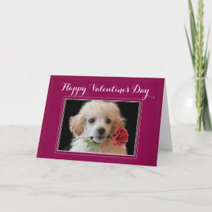 Valentine's Day poodle greeting card