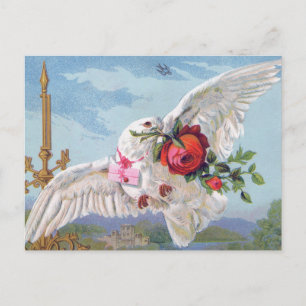 Valentine's Day Postcard