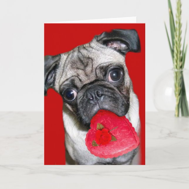 Valentine's Day pug greeting card (Front)