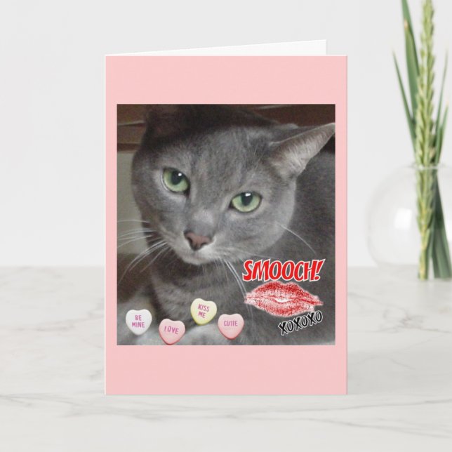 Valentine's Day Russian Blue Grey Cat Holiday Card (Front)