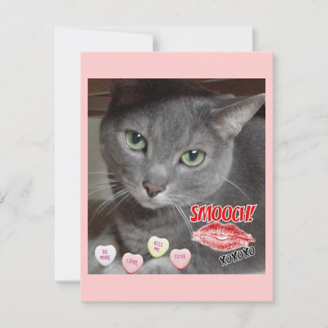 Valentine's Day Russian Blue Grey Cat Holiday Card (Front)