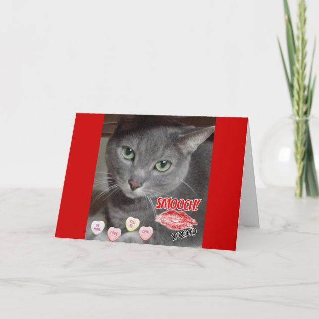 Valentine's Day Russian Blue Grey Cat Holiday Card (Front)