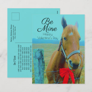 Valentine's Day Rustic Blue Horse Red Bow Holiday Postcard