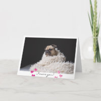 Valentine's Day Sad Pug Dog Photo I miss you