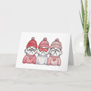 Valentines Day Shih Tzu Dogs Holiday Card
