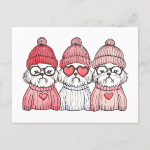 Valentines Day Shih Tzu Dogs Postcard