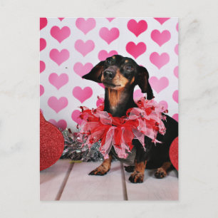 Valentine's Day - Sophia - Dachshund Holiday Postcard