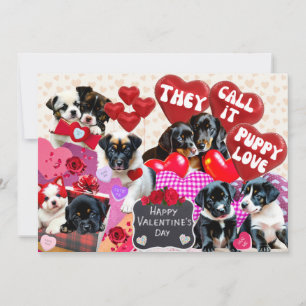 Valentine's Day They Call It Puppy Love Holiday Card