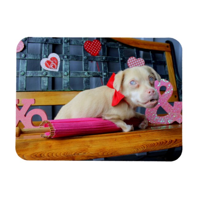Valentines Day Tucker Magnet (Horizontal)