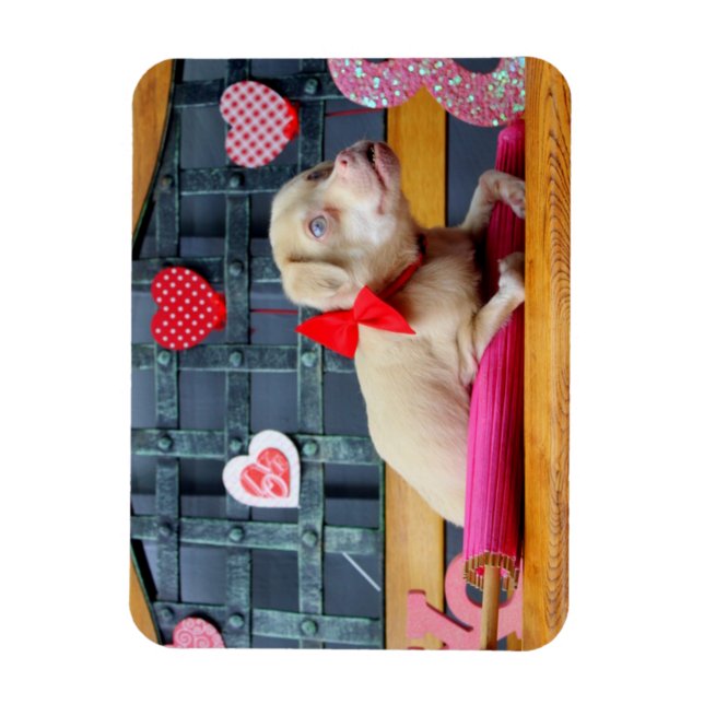 Valentine's Day TuckerWearsGoggles Magnets (Vertical)