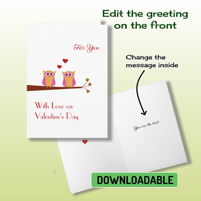 Valentine's Day two cute pink owls Holiday Card (Creator Uploaded)