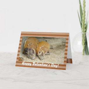 Valentine's day_ warthog Card