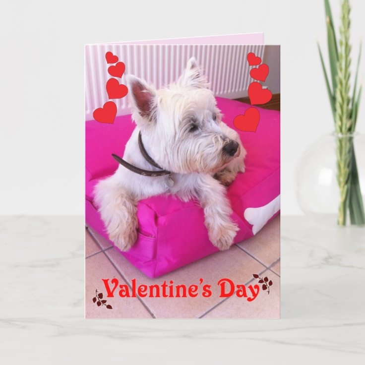 Valentine's Day Westie Card | Zazzle