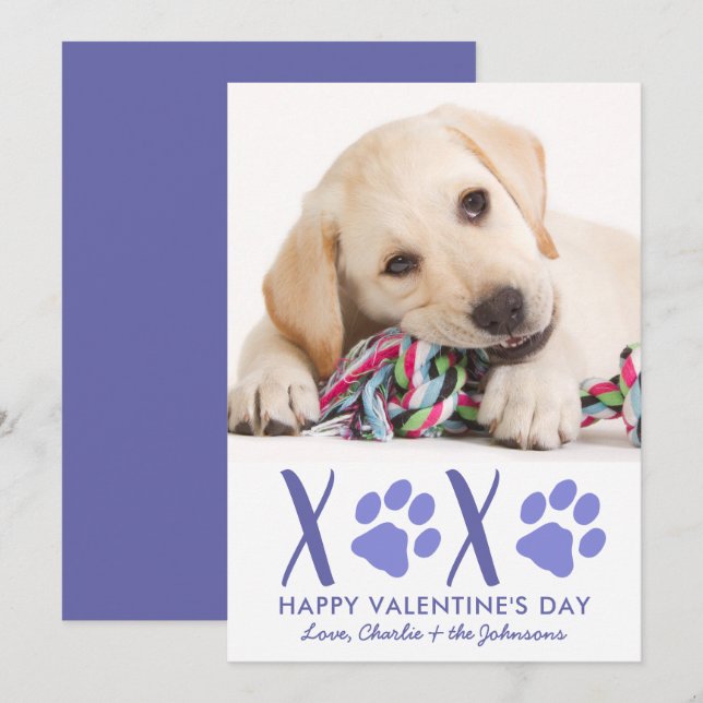 Valentines Day XOXO Cute Puppy Dog Pet Photo Holiday Card (Front/Back)