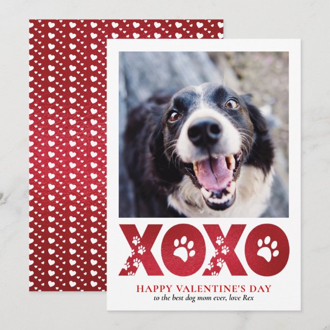 Valentines Day XOXO Pet Dog Photo Holiday Card (Front/Back)