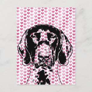Valentines German Shorthair Pointer Dog Silhouette Holiday Postcard