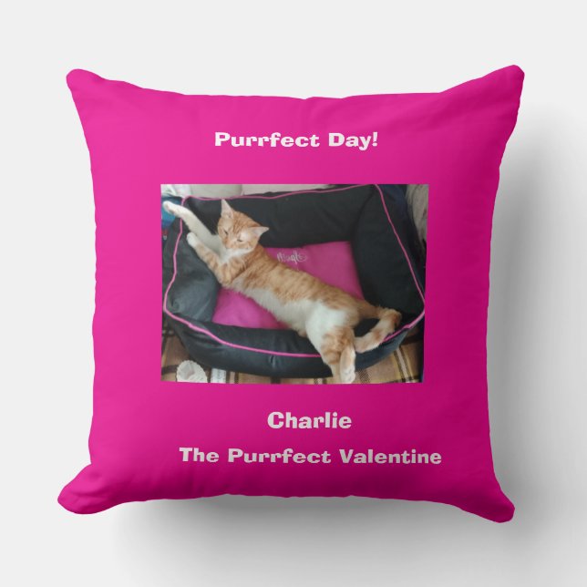 Valentine's Ginger Cat Photo Fun Cushion (Front)