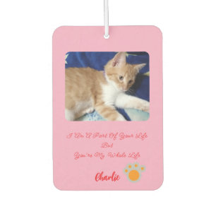 Valentine's Ginger Cat Photo Humor Text Car Air Freshener