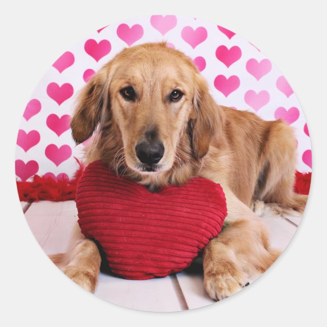 Valentines - Golden Retriever - JJ Classic Round Sticker (Front)