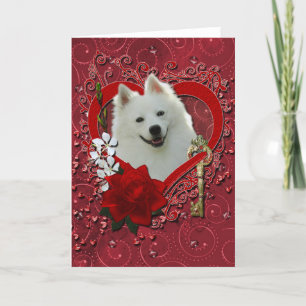 Valentines - Key to My Heart - American Eskimo Holiday Card