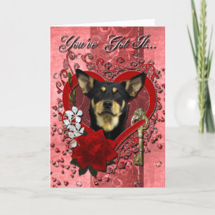 Valentines - Key to My Heart - Australian Kelpie Holiday Card