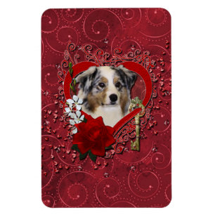 Valentines - Key to My Heart - Australian Shepherd Magnet