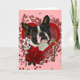 Valentines - Key to My Heart - Boston Terrier Holiday Card