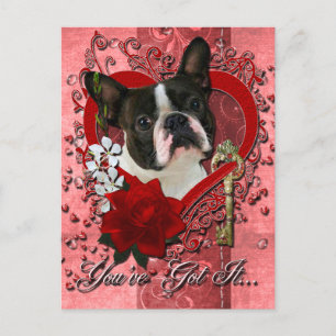 Valentines - Key to My Heart - Boston Terrier Holiday Postcard